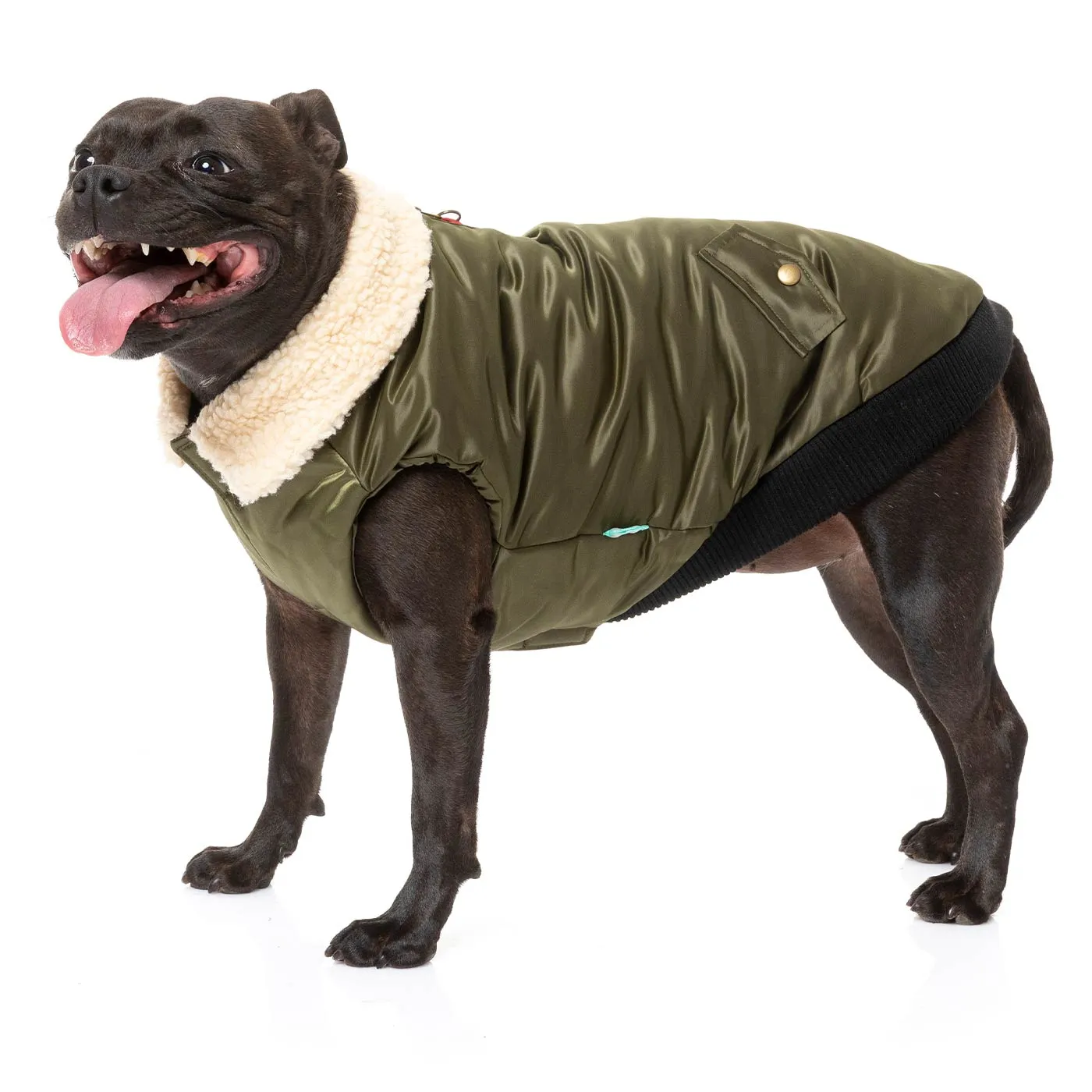 FuzzYard The Zoomie Jacket